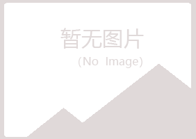 青岛崂山迷失咨询有限公司